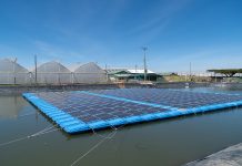 Impact-Investing – Wo Bürger am meisten in Nachhaltigkeit investieren